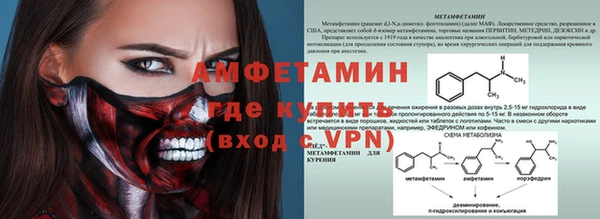 трава Аркадак
